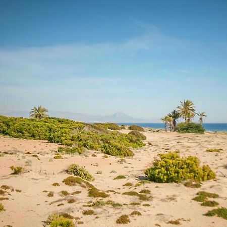 Lovely Apartment In Santa Pola With Wifi Eksteriør billede